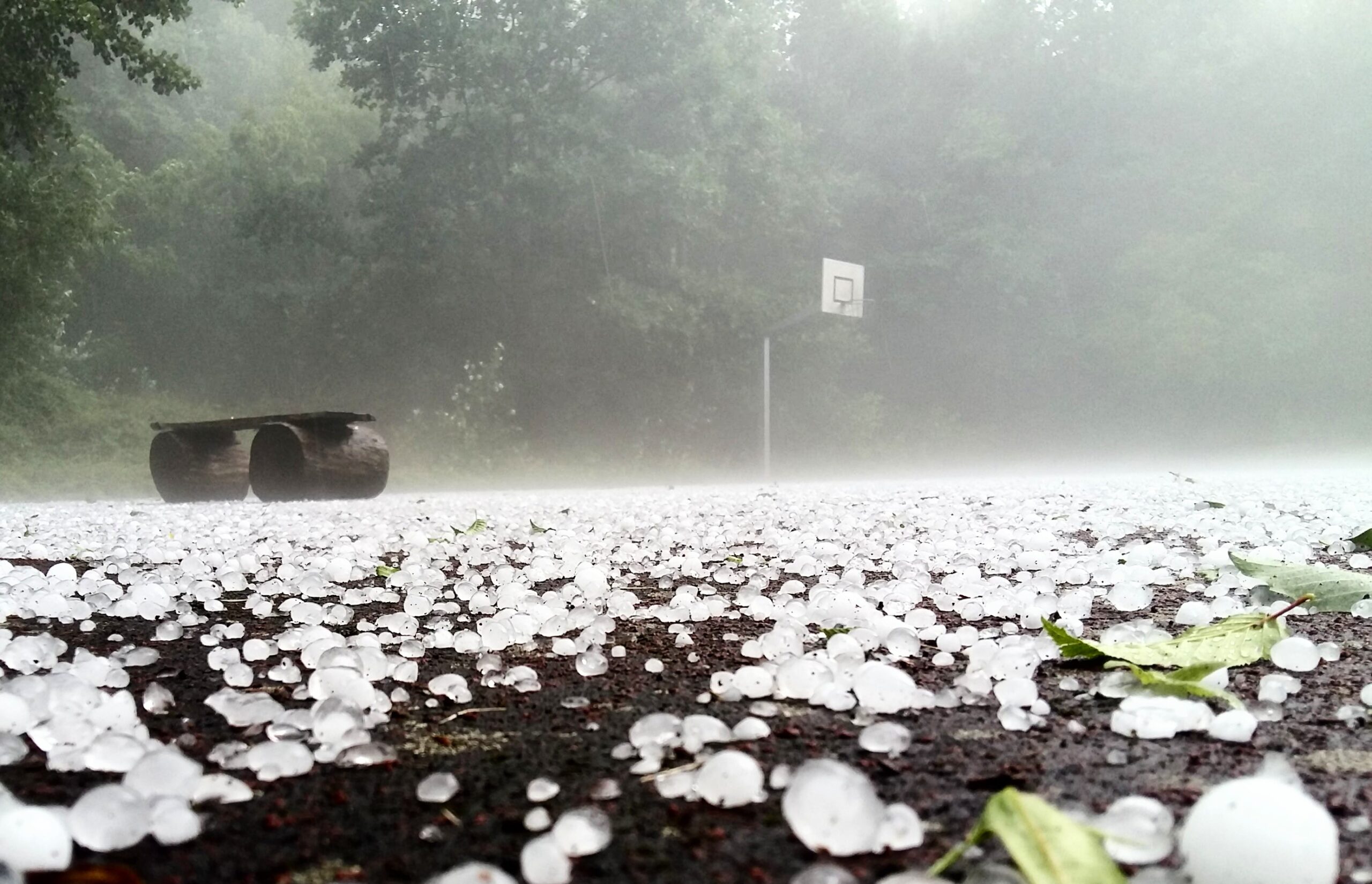 Hailstorm Ravages Apple Orchards in North Kashmir’s Rafiabad