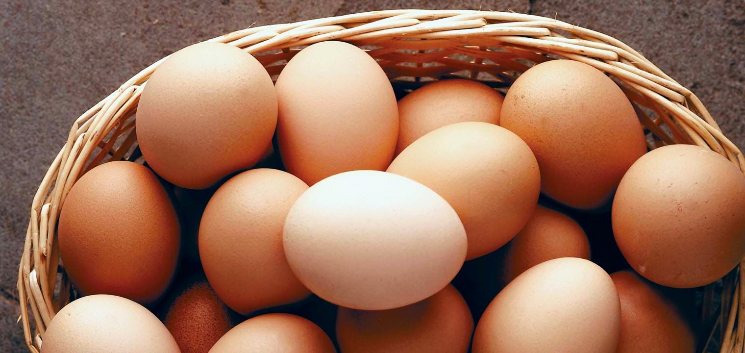 Commissioner DFA Urges Calm Over Egg Safety Reports, Says Testing Underway and No Eggoz Eggs Found So Far in Kashmir Valley
