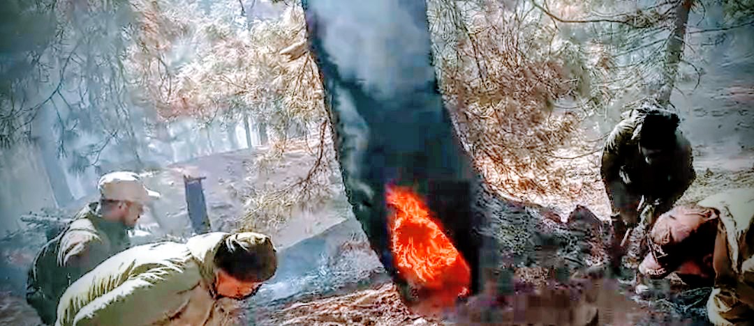 Day 5: Gurez Forest Fire Leaves Trail of Ecological Ruin, 80 Percent Contained