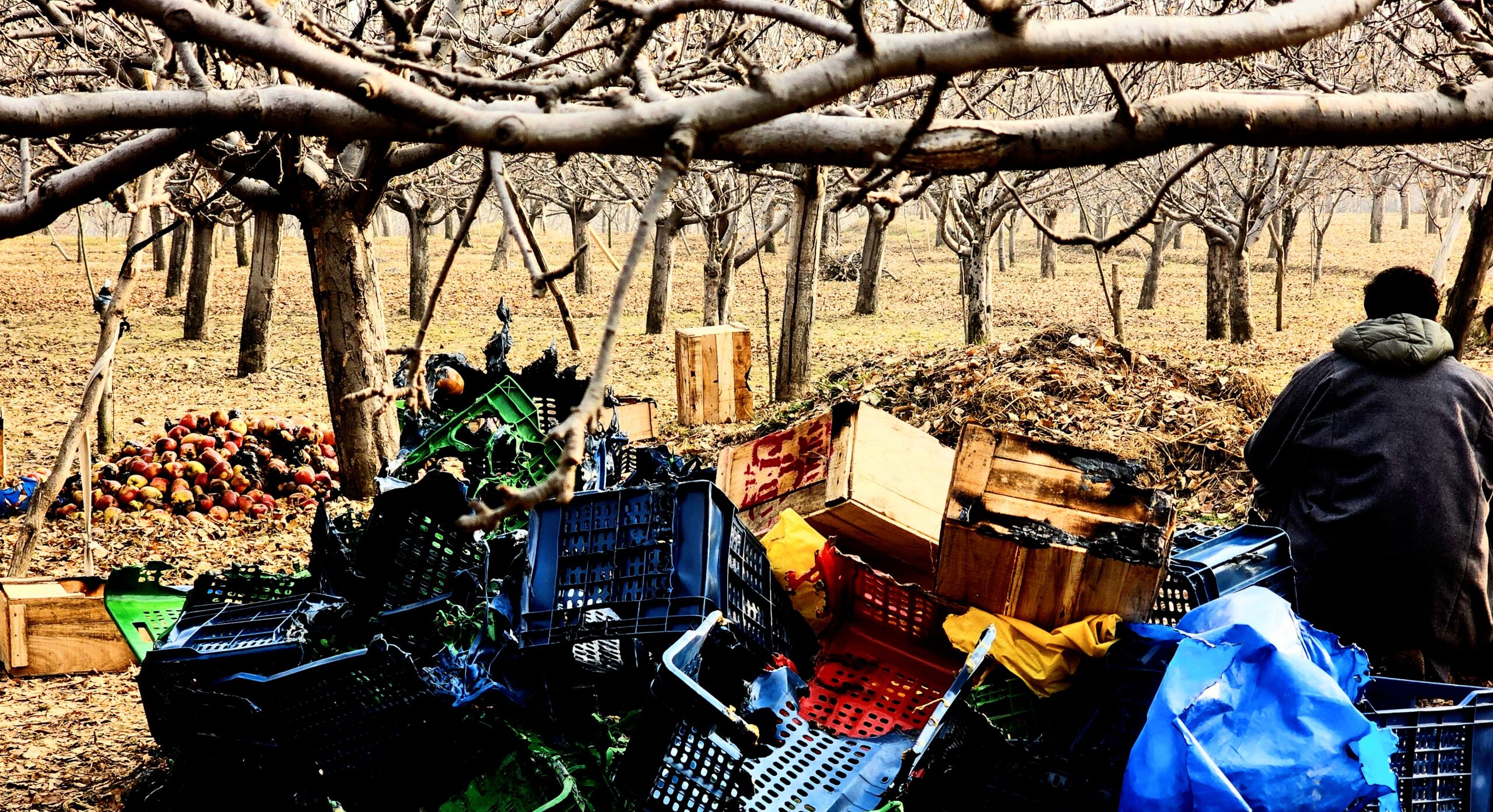 Fire Damages Hundreds of Apple Crates in Tulran Shopian