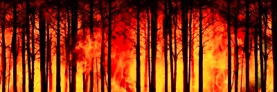 Trump willing to end war without reopening Hormuz: WSJ