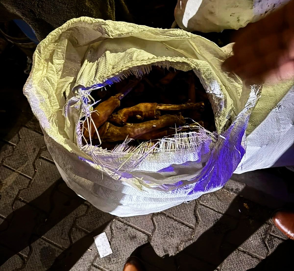 Police intercept vehicle carrying non-vegetarian food without insulation