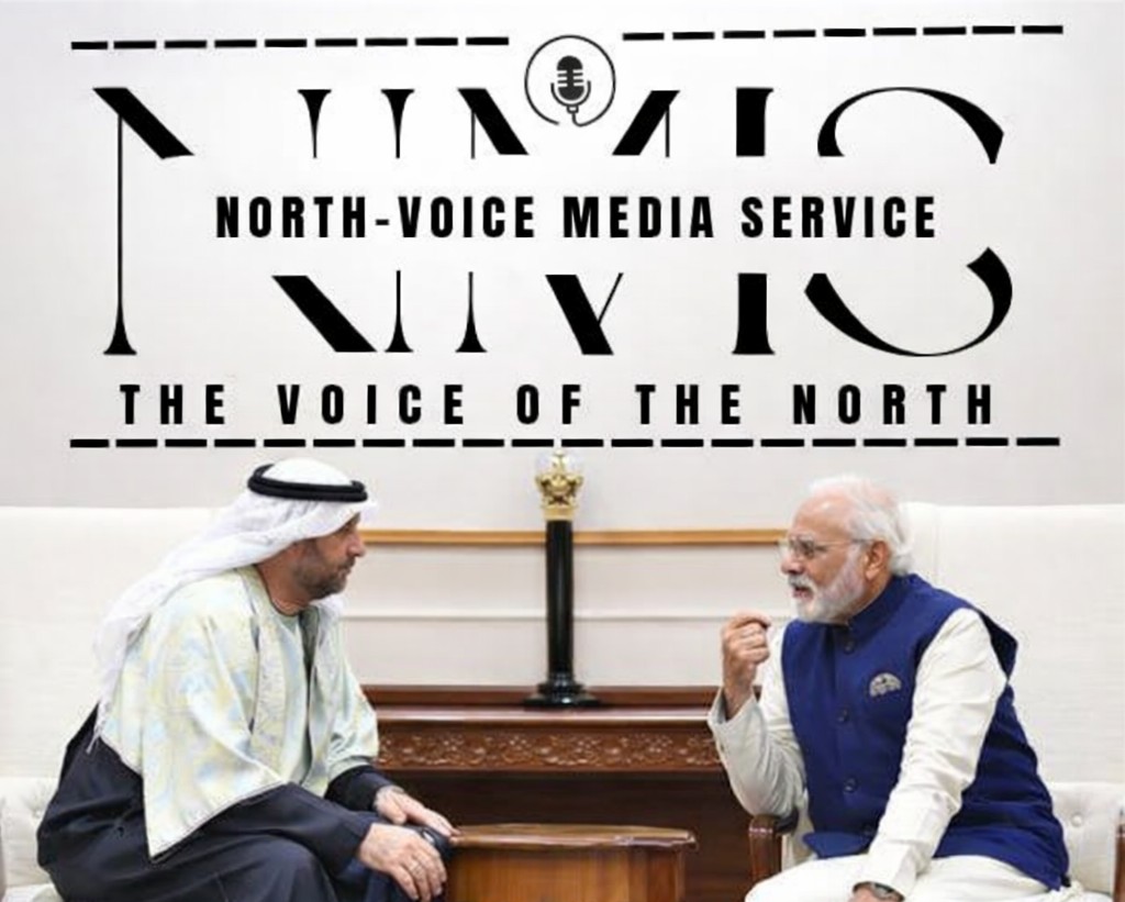 Carved wooden swing and Pashmina shawls – PM Modi’s special Indian gifts for UAE President, family