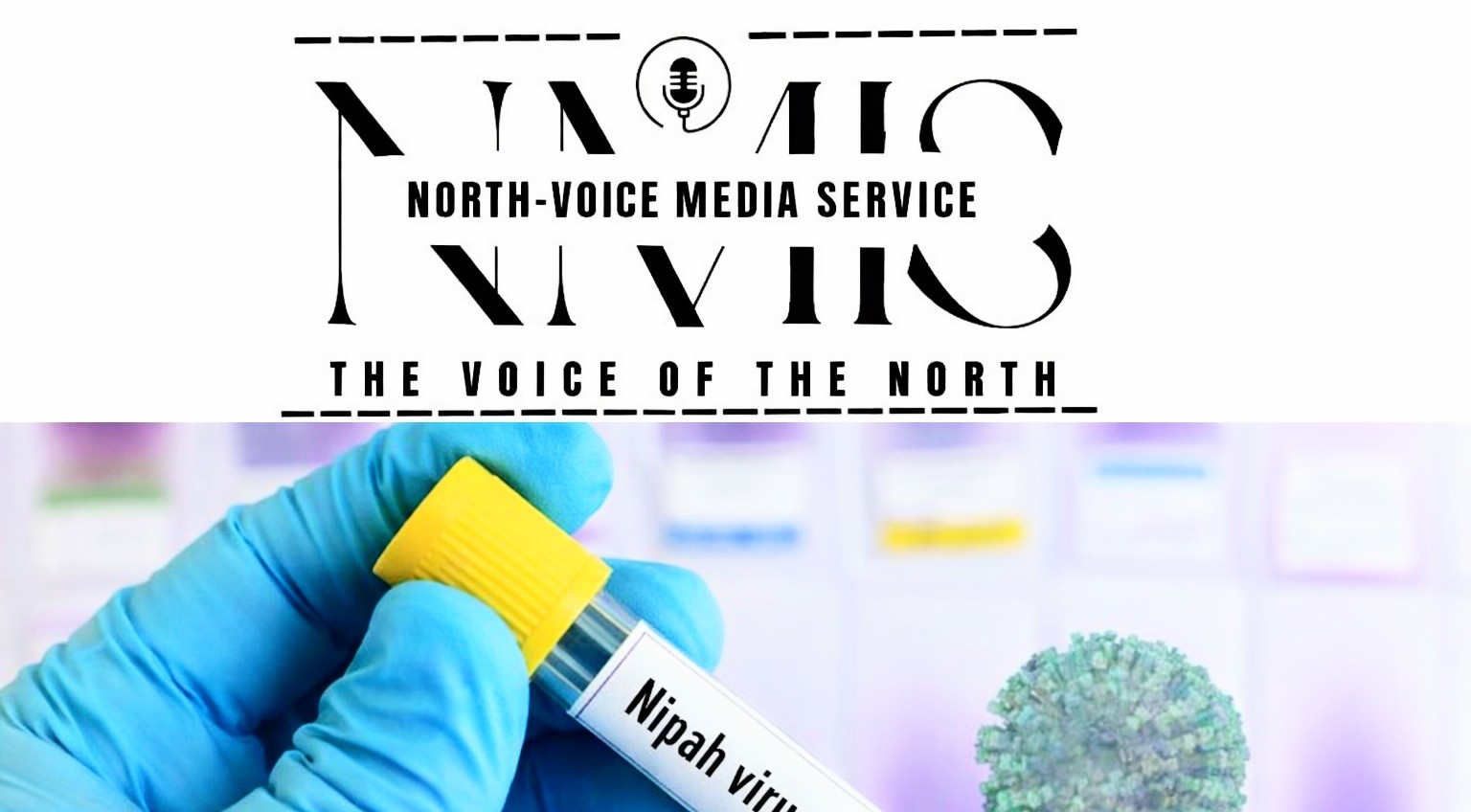 Beyond Nipah Virus: New Bat Virus Found In Bangladesh Patients, Warn Scientists