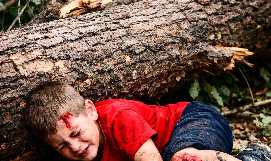 One child d£ad in Srinagar after heavy tree falls on him