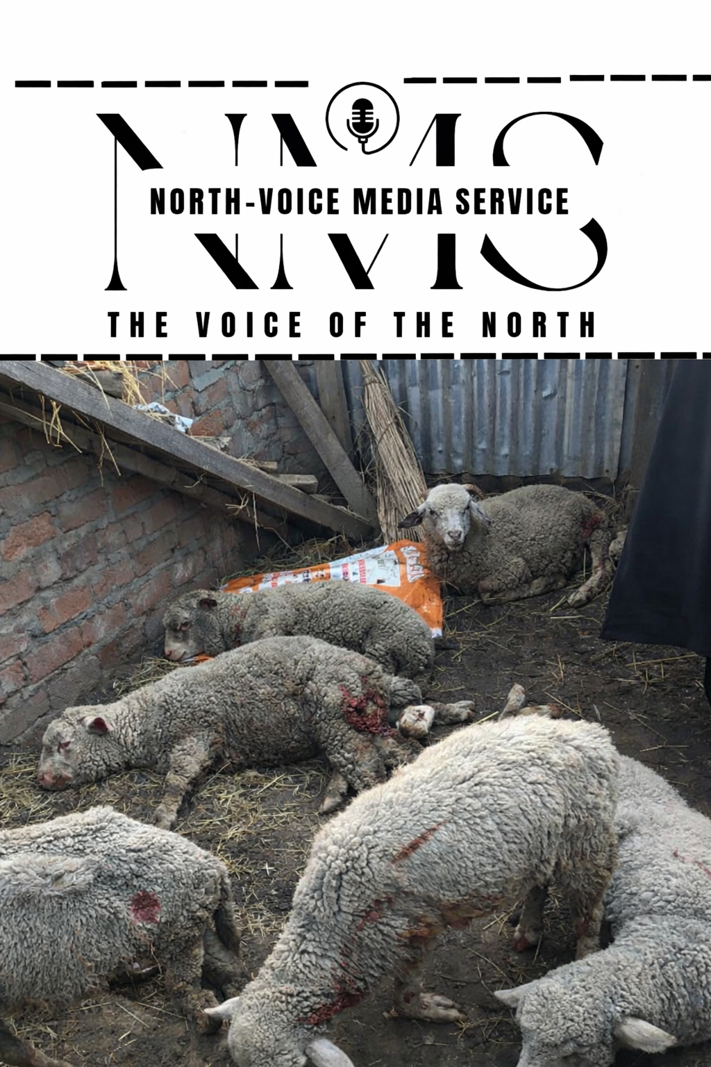 Leopard Attack Leaves 20 Sheep D£ad in….