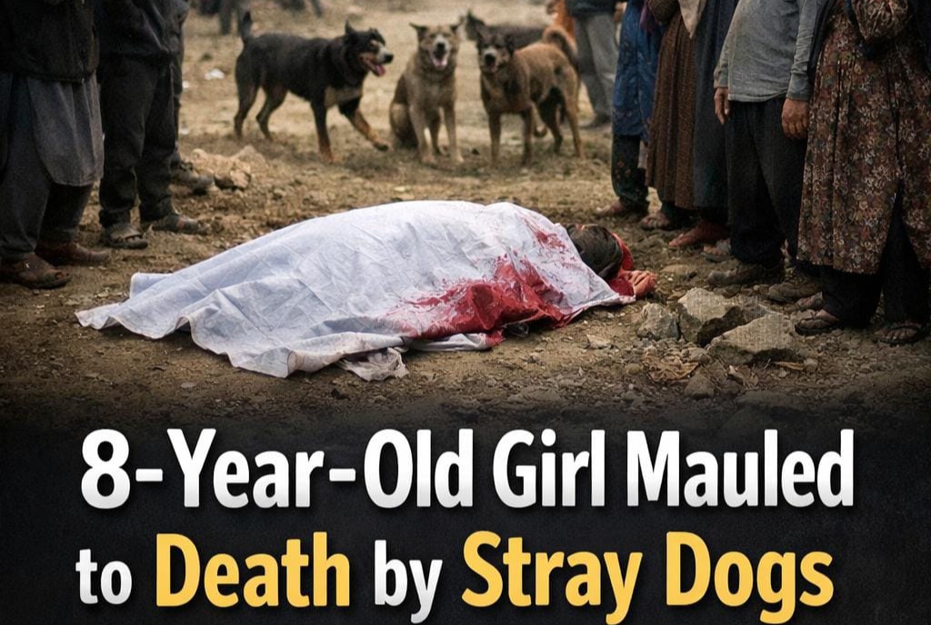 Shocking! 8 year old girl mauled to d€ath by stray dogs in…..